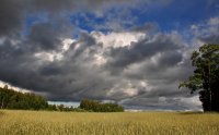 &quot;Permainingas oras&quot; Eugenija Šeinauskienė